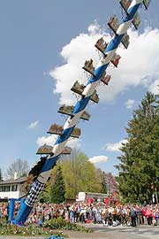 Fotogalerie Maibaum Trudering 2006 (Fotos: Martin Schmitz)